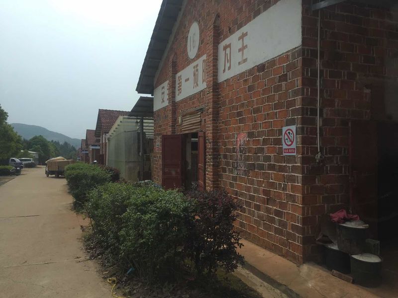 La Cina Liuyang Mandarin Fireworks Co., Ltd. Profilo Aziendale