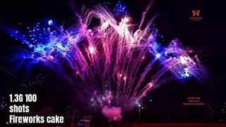 Torta 1.3G UN0335 dei fuochi d'artificio dell'esposizione professionale di Liuyang 100 colpi pirotecnici