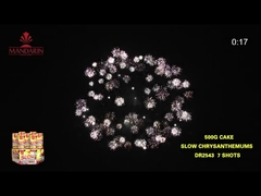 11 Shots Consumer Cake Fireworks 30*36*175mm For Wedding