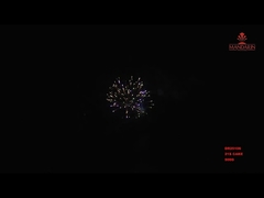 21 Shots 500G Consumer Cake Firework For Wedding Celebration