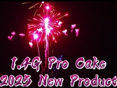1.4G Outdoor 300 Shots Torta fuochi d'artificio Sky Shot fuochi d'artificio Cracker Natale Pyro fuochi d'artificio Per S
