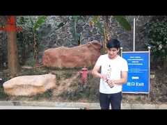 Mandarino Colorevole Bomba di Fumo 55*150mm Fuochi d'artificio