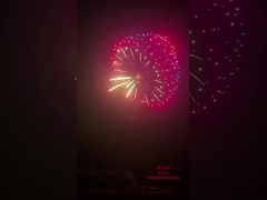 Fabbrica Liuyang Mandarino pirotecnica visualizzare proiettili fuochi d'artificio 6 pollici fuochi d'artificio di conchiglia professionale