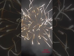 Display professionale fuochi d'artificio Mortero Artiglieria Conchiglia Prodotti pirotecnici Conchiglie da 6 pollici