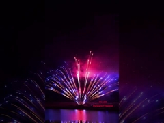 Fabbrica cinese pirotecnica all'ingrosso fuochi d'artificio a schermo professionale 1.3g fuochi d'artificio di torta 2024