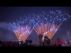 Fuochi d'artificio per torte professionali per l'aria aperta Fuochi d'artificio per torte per uso festivo