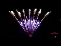 Liuyang Fuochi d'artificio cinesi pirotecnica 78 colpi 1.3g torta fuochi d'artificio