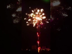 I fuochi d'artificio della pirotecnica di Liuyang 196 effetti speciali professionali dei fuochi d'artificio del dolce dei colpi mostrano