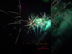 Fuochi d'artificio professionali di occasione del grande dolce cinese dell'esposizione 256 colpi per Halloween