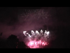 Liuyang 56 colpi Display pirotecnico professionale 1.3g Un0335 Per la celebrazione del festival