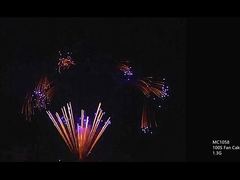 CE 100 150 300 500 600 1000 colpi Fuochi d'artificio di torta professionale personalizzabili