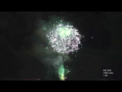 AFSL personalizzabile 100 colpi fuochi d'artificio di torte professionali per la celebrazione del festival