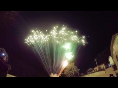 Visualizzi la grande pirotecnica che professionale 49 colpi agglutinano i saluti dei fuochi d'artificio