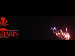 Festa di compleanno Fuochi d'artificio personalizzati Fuochi d'artificio di 100 colpi torta