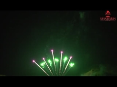 Cina Display di fuochi d'artificio professionistici 10 colpi Forma di ventola riga singola