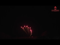 Display di fuochi d'artificio professionale a forma di Z 11 colpi Pacchetto OEM a fila singola