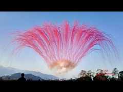 Fabbrica cinese all'ingrosso Fuochi d'artificio diurni Festa Colore Fumo Torta Fuochi d'artificio pirotecnica