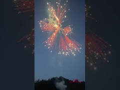 Liuyang Silver Ponytail Fireworks Cakes 2024 Fabbrica cinese Fuochi d'artificio e fuochi d'artificio Cakes di consumo