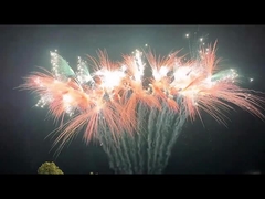 Fuochi d'artificio tipici di torte cinesi Feste celebrazioni pirotecnica fuochi d'artificio all'aperto 2024