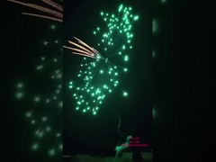 Fuochi d'artificio cinesi Liuyang 14 colpi Torte di consumo Fuochi d'artificio 2023