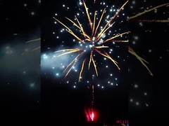 138 colpi Colorevoli fuochi d'artificio di torta per i consumatori per la celebrazione Fuochi d'artificio all'aperto