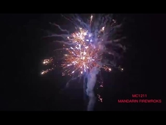 Cane cinesi all'aperto fuochi d'artificio pirotecnica Salute per la celebrazione del festival