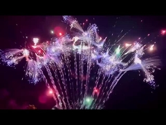 Fuochi d'artificio di Liuyang Cina Torta pirotecnica Fuochi d'artificio all'aperto 2023