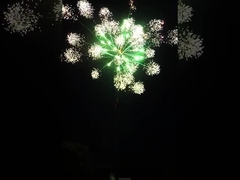 Festeggiamento Torta di consumo Fuochi d'artificio all'aperto Gran Fuochi d'artificio pirotecnica