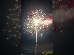 Pirotecnica personalizzata Torta fuochi d'artificio Salute per la celebrazione del nuovo anno 2023