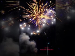 100 fuochi d'artificio del dolce del consumatore dei colpi per fuochi d'artificio all'aperto di celebrazione i grandi