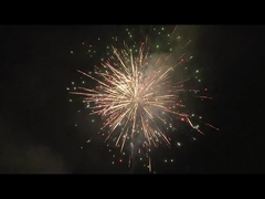 La pirotecnica cinese dei fuochi d'artificio del dolce del consumatore 128 colpi agglutina i fuochi d'artificio dei petardi