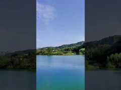 Il giorno 49 fuochi d'artificio cinesi del dolce dei colpi ha colorato i fuochi d'artificio del fumo per la celebrazione