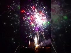 Fuochi d'artificio professionali cinesi grande 1.4g del dolce del consumatore