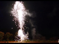 Lo sputo della pirotecnica 49s della scatola dei pacchetti della famiglia degli assortimenti dei fuochi d'artificio borda i fuochi d'artificio