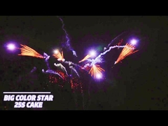 25 colpi Torta per consumatori Fuochi d'artificio forma ventola pirotecnica 1.4g Un0336