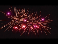 20 colpi all'aria aperta Torta di festa pirotecnia A forma di ventola personalizzata 1.4g