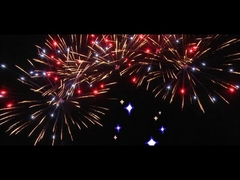 Cina 25 colpi Fan Cake Fuochi d'artificio per la celebrazione Fuochi d'artificio personalizzati all'aperto