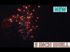 Liuyang Firework cinese pirotecnico su misura Fuoriere da 5 pollici