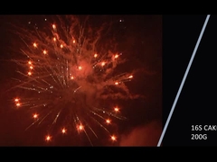 Mandarino 2021 Nuovo 16 colpi 200g torta fuochi d'artificio Per festa di festa