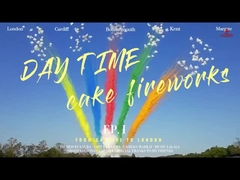 Pirotecnica Mandarino su misura Torta di Salute di Giorno Fuochi d'artificio 49 colpi