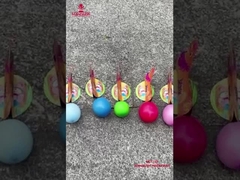 Fabbrica cinese Fuochi d'artificio per bambini Liuyang Cigno che depone uova Fuochi d'artificio Novità Fuochi d'artificio divertenti per giocattoli