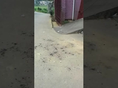 Balloni magici giocattoli fuochi d'artificio 0.03CBM Protezione dell'ambiente per le riunioni di celebrazione