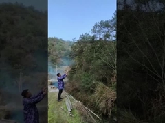 Festa di rivelazione del genere Popper Confetti Cannone, Holi Powder Cannone per il matrimonio