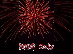 2025 Liuyang all'ingrosso 12 colpi fuochi d'artificio torta personalizzato cinese 500g fuochi d'artificio torta per la celebrazione