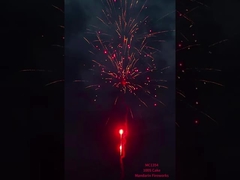 Fuochi d'artificio al dettaglio cinesi Fuochi d'artificio pirotecnici nuovi Fuochi d'artificio 2025 Fabbrica 100 colpi Fuochi d'artificio torta
