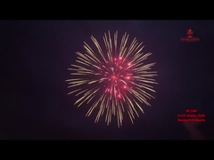 Fabbrica Liuyang pirotecnica visualizzare proiettili fuochi d'artificio 8 pollici 1.3G Professionale fuochi d'artificio conchiglia