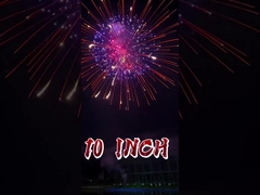 1.3G Display Professionale Conchiglie Fuochi d'artificio Fuochi d'artificio