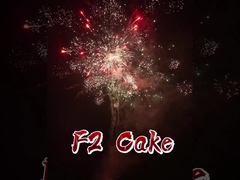 Fabbrica Liuyang Fireworks per torte su misura F2 Diretto Cina Import CE Torta per fuochi d'artificio in ingrosso
