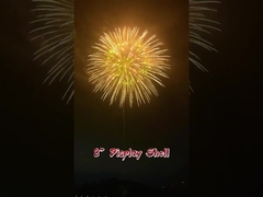 Festival e celebrazioni 2 