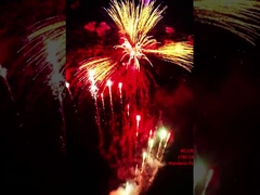 Fabbrica Liuyang Mandarino personalizzato 178 colpi pirotecnica 1.4G pasticceria dei consumatori fuochi d'artificio per il Capodanno